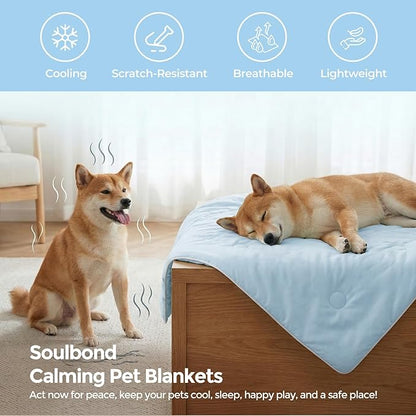 Soulbond Cooling Blanket for Large Dogs - Q-MAX>0.45, Washable Cool Pet Cats Throw Blanket for Hot Weather, Self-Cooling Soft Dog Mat for Bed Crates Couch Sofa Cars(40"x50", Light Blue)