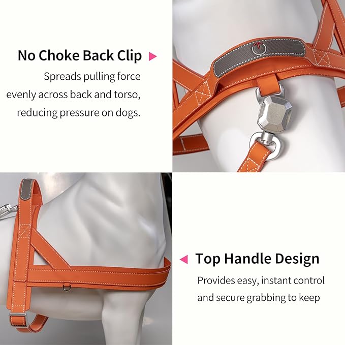 Magnetic Dog Harness and Leash Set with Quick Release Buckle, Easy On & Off Faux Leather Puppy Harness and Leash with Handle for Medium, Large Sized Dog