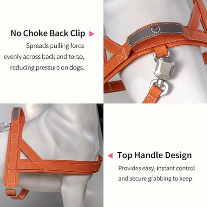 Magnetic Dog Harness and Leash Set with Quick Release Buckle, Easy On & Off Faux Leather Puppy Harness and Leash with Handle for Medium, Large Sized Dog