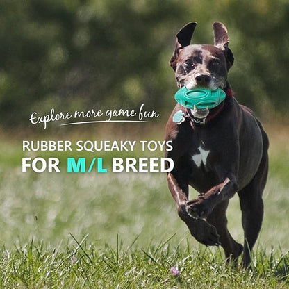 EASTBLUE Squeaky Dog Toys for Aggressive Chewers: Rubber Puppy Chew Ball with Squeaker (Teal)