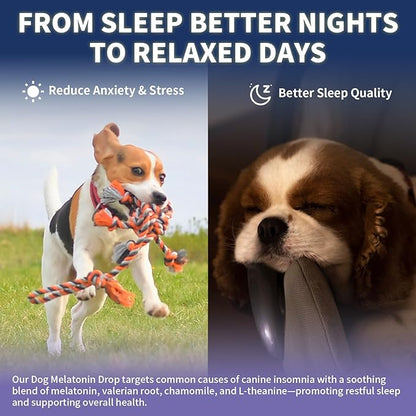 WEALLIN Melatonin for Dogs with L-Theanine & Chamomile | Anxiety Relief & Calming, Relaxation & Sleep Support Liquid Dog Melatonin | Fast-Absorbing & Bacon Flavor (1 PC)