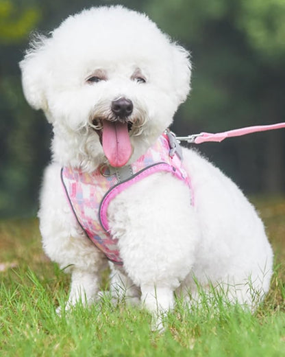 Dog Harness for Small Medium Dogs No Pull, Cat Harness and Leash Set, Step in Puppy Harness. (Pink, XS)
