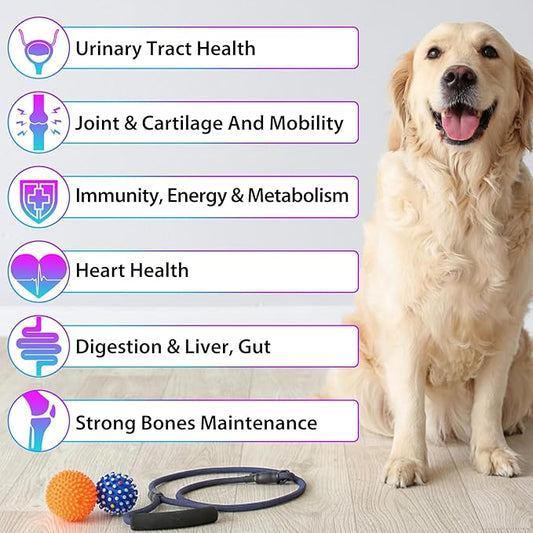 15 in 1 Dog Multivitamin, All-in-One Multi Liquid Multivitamin for Dogs, Dog Vitamins and Supplement with Digestive, Immunity, Allergy Skin & Coat Support, Hip & Joint, All Ages, Breeds 2 oz