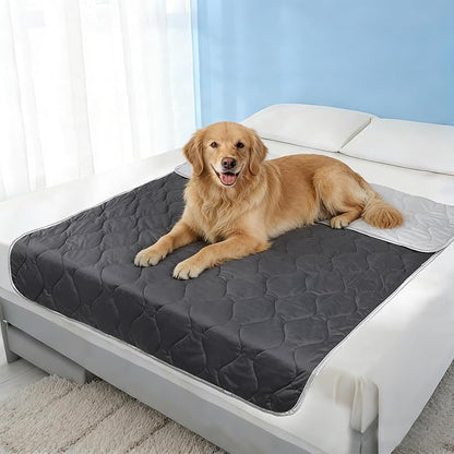 Cooling Blanket for Dogs - Q-MAX>0.4, Lightweight Pet Throw Blanket Furniture Protector, Breathable Fill and Soft Washable Cooling Mat for Summer, Grey, 60x80
