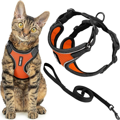Voyager Escape-Proof Step-in Lock Cat Harness & 5ft Neoprene-Handle Leash Set All-Weather Mesh with Reflective Stitching for Small to Large Cats by Best Pet Supplies, Black Trim-Orange (327), XXXS