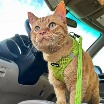 Voyager Step-in Pet Harness - All Weather Mesh, Adjustable Step in Harness for Cats and Dogs by Best Pet Supplies - 307S Lime Green, XXXS