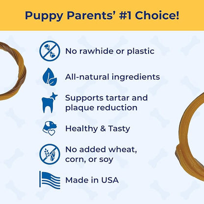 N-Bone Puppy Teething Rings Taste of Texas Burnt Ends Flavor 3 Count