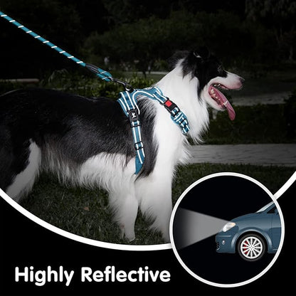 PoyPet No Pull Dog Harness and 5 Feet Leash Set, Release on Neck Reflective Adjustable Pet Vest, Front & Back 2 D-Ring and Soft Padded Pet Harness with Handle for Small to Large Dogs(Tumalo Teal,L)