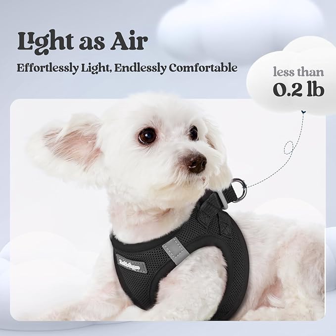 rabbitgoo Dog Harness Small Sized and Leash Set, Step in Soft Light Puppy Vest, Breathable Mesh Pet Harness, Reflective for Safe Easy Walking, Black M