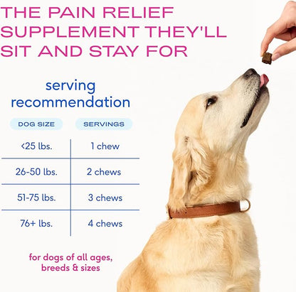 Native Pet Inflammatory Care - Pain Relief for Dogs - Green-Lipped Mussel, Turmeric & Collagen for Dogs - Hip and Joint Supplement Supports Healthy Inflammatory Response & Joint Comfort - 60 Chews