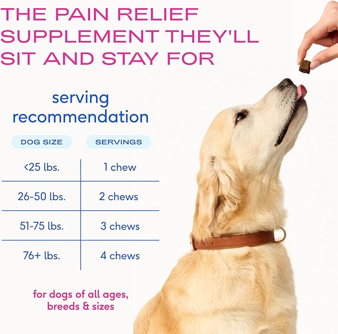 Native Pet Inflammatory Care - Pain Relief for Dogs - Green-Lipped Mussel, Turmeric & Collagen for Dogs - Hip and Joint Supplement Supports Healthy Inflammatory Response & Joint Comfort - 30 Chews