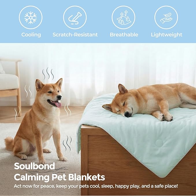 Soulbond Cooling Blanket for Medium Dogs - Q-MAX>0.45, Washable Cool Pet Cats Throw Blanket for Hot Weather, Self-Cooling Soft Dog Mat for Bed Crates Couch Sofa Cars(29"x40", Mint Green)