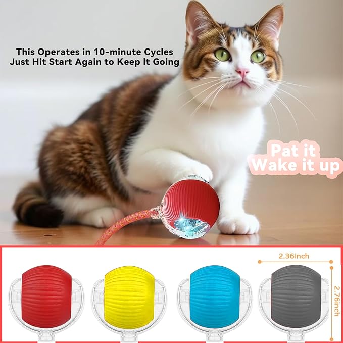 Speedy 2.0 Tail Interactive Cat Toys for Indoor Cats, Automatic Cat Toy with Elastic Mesh Tail, Electric Rolling Ball on Carpet, Chirping and Motion Activate Cat(Grey)
