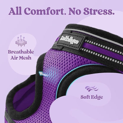 rabbitgoo Cat Harness and Leash Set for Walking Escape Proof, Adjustable Soft Kittens Vest with Reflective Strip for Cats, Comfortable Outdoor Vest, Purple, L