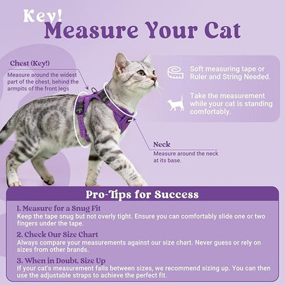 rabbitgoo Cat Harness and Leash, Escape Proof Vest with 3 Adjustable Buckles, Soft Comfortable Kitten Harness, Easy to Wear, Reflective for Safe Outdoor Walking, XS, Purple