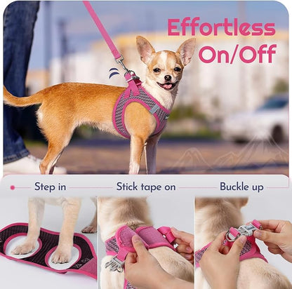 Eagloo Small Dog Harness and Leash Set, Step in Puppy Vest with Breathable Soft Mesh, Walking Reflective Pet Harness for Small Dogs, Rose Red, S