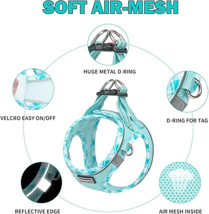 Mercano Soft Mesh Dog Harness and Leash Set, No-Chock Step-in Reflective Breathable Lightweight Easy Walk Vest Harnesses with Safety Buckle for Small Dogs, Cats (Light Blue, XXS)