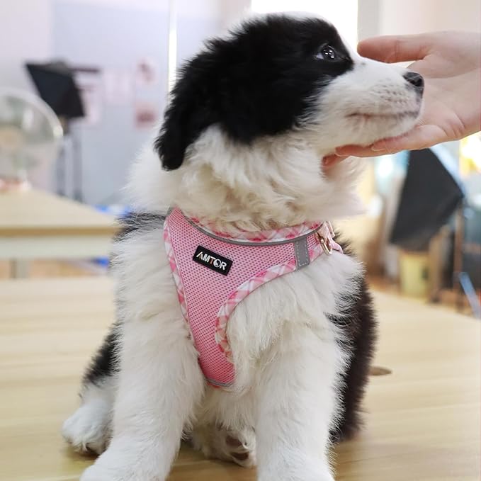 AMTOR Small Dog Harness with Leash Set, No Escape Easy Walk Puppy Harnesses for Training Walking, Step-in Reflective Soft Dogs Vest for XS S Medium Extra-Small Large Sized Dog(XS Size,Pink/White)