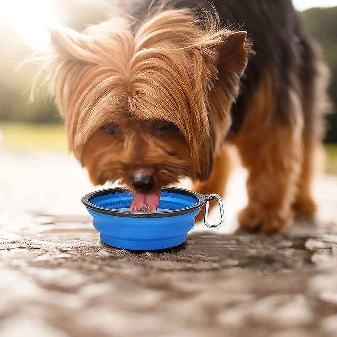Kytely Large Collapsible Dog Bowls 2 Pack, 34oz Foldable Dog Travel Bowl, Portable Pet Water Food Bowl with Clasp, Pet Cat Feeding Cup Dish for Traveling, Walking, Hiking (Blue+Blue)