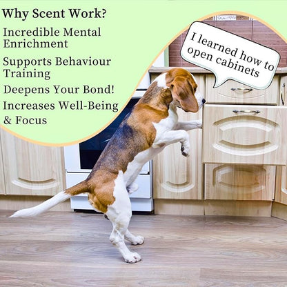 Dog Scent Training kit, Brain Games, Hide and Seek Toys - Fun Nose Work Games, Sniff and Seek Sniffing Toys, Nosework Kit, Scent Work Kit for All Ages Dog (Green)