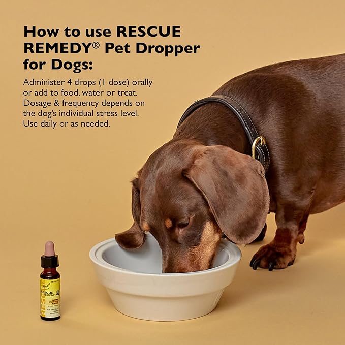 Bach Rescue Remedy Pet Dropper for Dogs - 20 mL, Pack of 2 - Stress & Tension Support for Dogs Natural Flower Essences - Sedative-Free, Homeopathic Liquid Formula - for All Breeds, Ages & Weights