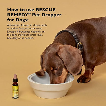 Bach Rescue Remedy Pet Dropper for Dogs - 20 mL, Pack of 2 - Stress & Tension Support for Dogs Natural Flower Essences - Sedative-Free, Homeopathic Liquid Formula - for All Breeds, Ages & Weights
