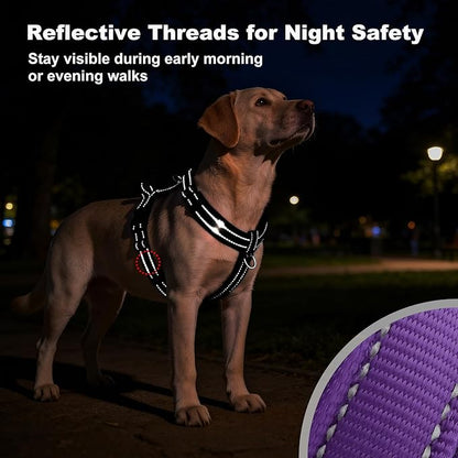 No Pull Dog Harness with Handle, Soft Mesh Padded Adjustable for Small Medium Large Dogs | Reflective Easy Walk Harness with Front Clip for Training, Running & Outdoor (Purple, S)
