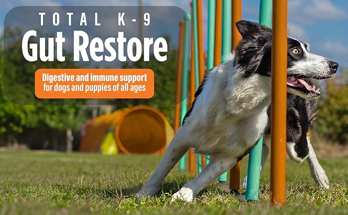 Dog Gut Restore Supplement – Probiotics & Digestive Enzymes for Dogs, Supports Gut Health, Stool Balance & Immune Support – Oral Paste Syringe 60g, Made in USA