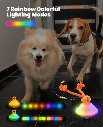 Xeuch Interactive Dog Toys, Automatic Moving and Rolling LED Light Up Dogs Ball with Rope, Motion-Activated Wicked Ball for Small Medium Pup, Stimulation Toy for Boredom Relief