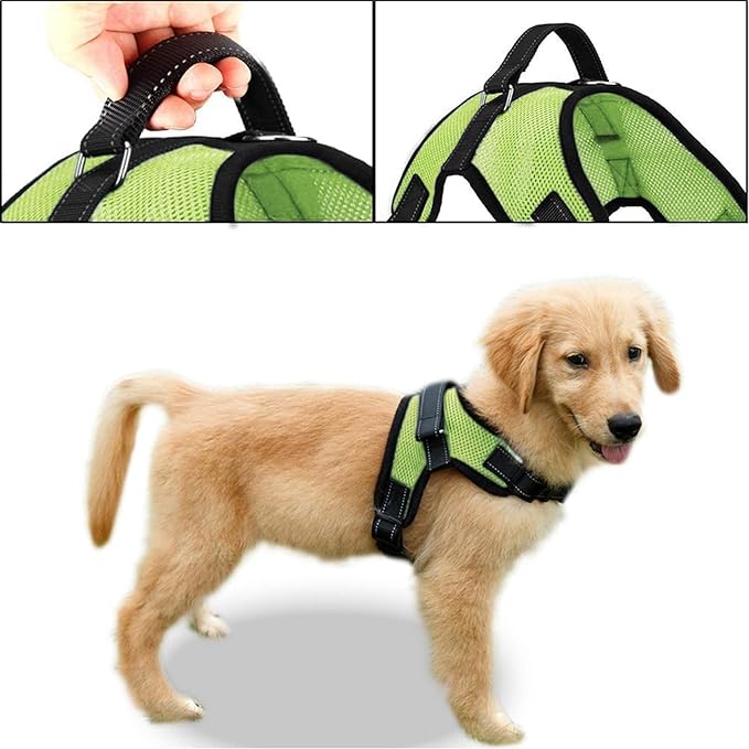 No Pull Reflective Adjustable Dog Harness With Handle- Comfortable Soft All Weather Mesh, Easy On Puppy Harness For Small Medium and Large Dogs (Green) X-Large