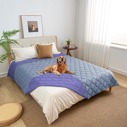fuguitex Waterproof Dog Blanket Reversible for Small Dogs Resistant Leakproof Washable Couch Cushion Bed Protector Cover for Indoor Furniture Pet Friendly(52"*82",Violet Blue+ Light Blue)