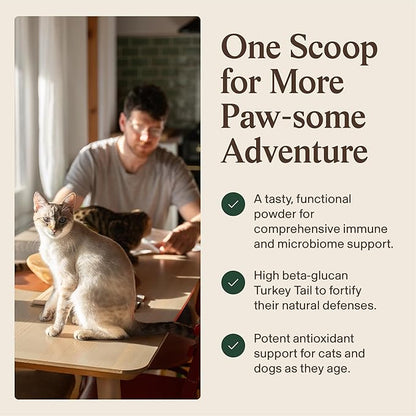 Real Mushrooms Turkey Tail with Qrill Pet - Turkey Tail Mushroom for Dogs with Krill Meal for Dogs and Cats - Beta-Glucan Rich Mushroom Extracts Immune & Gut Support for Puppies and Kittens, 75g