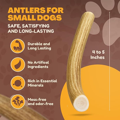 WhiteTail Naturals - Deer Antlers for Extra Small Dogs (12 Pack) Natural Dog Antler Chews for Puppies & Small Aggressive Chewers - Long Lasting Chew Bones