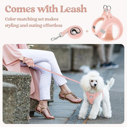 rabbitgoo Dog Harness Small Sized and Leash Set, Step in Soft Light Puppy Vest, Breathable Mesh Pet Harness, Reflective for Safe Outdoor Walking, Pink S