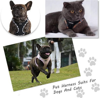 AMTOR Small Dog Harness with Leash Set, No Escape Easy Walk Puppy Harnesses for Training Walking, Step-in Reflective Soft Dogs Vest for XS S Medium Extra-Small Large Sized Dog(Pink,L)