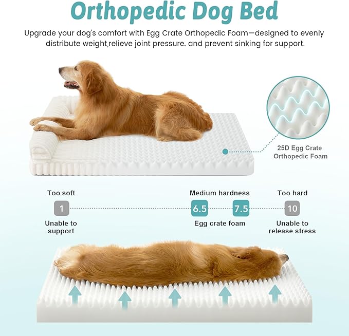 COZY KISS Small Dog Bed, Faux Rabbit Fur Orthopedic Foam Dog Bed with Sides, Removable Washable Cover & Waterproof Lining, Comfortable Pet Couch, Cream (30" L x 20" W x 6" Th)