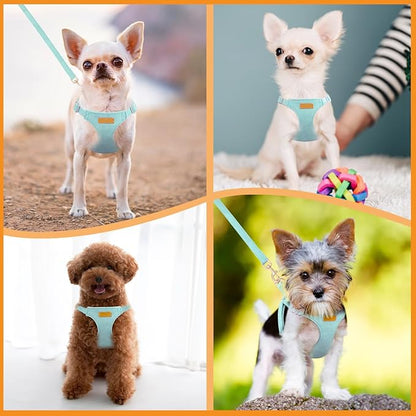 SlowTon Dog Harness Small Sized Dog - Soft XXS Dog Harness and Leash Set No Pull No Chock, Adjustable Lightweight Puppy Harness for XS Small Medium Dogs Cats (Solid Light Blue, S)