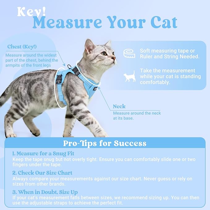 rabbitgoo Cat Harness and Leash, Escape Proof Vest with 3 Adjustable Buckles, Soft Comfortable Kitten Harness, Easy to Wear, Reflective for Safe Outdoor Walking, Medium, Sky Blue