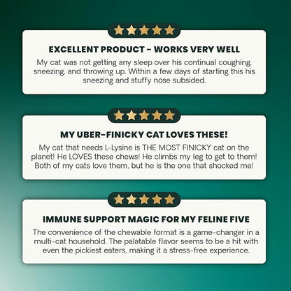 VetriScience Lysine Immunity Health Chews, 250 mg Lysine Plus Immune Supplement for Cats and Kittens with Allergies, Sneezing, Runny Nose and Watery Eyes, Chicken, 120 Count