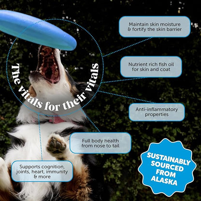 Wild Alaskan Salmon Oil, Omega-3 Fish Oil for Dogs and Cats, Fatty Acids, Salmon Oil for Dogs, Skin and Coat Health, Pure Dog Food Topper, Supports Joints, Brain & Heart Health - 16 oz