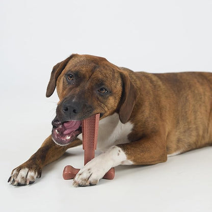 SPOT Bam-Bones Plus Coffee Wood T-Bone Dog Chew Toy, Beef Flavor, Nylon and Coffee Wood Fiber Blend, Durable Chew for Heavy Chewers and Dogs Under 90 lbs, Non-Splintering Dental Chew, 7 Inch