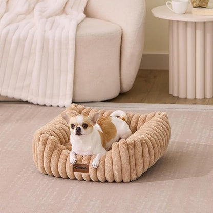 ZOMISIA Small Dog Beds for Small Dogs - Washable Cat Beds for Indoor Cats, Rectangle Orthopedic Puppy Bed with Fluffy Removable Cover, 20x19x7inches, Cream