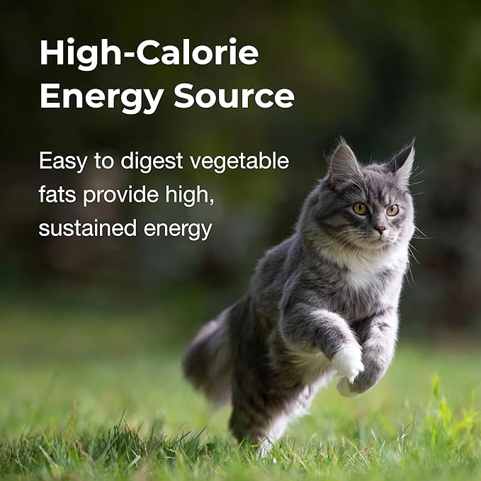 PetAg High Calorie Gel Supplement for Cats - 3.5 oz, Pack of 2 - Chicken Flavor - Provides Extra Calories for Cats 8 Weeks and Older - Easy to Digest