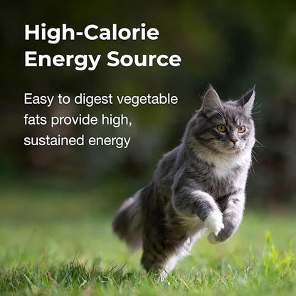 PetAg High Calorie Gel Supplement for Cats - 3.5 oz, Pack of 2 - Chicken Flavor - Provides Extra Calories for Cats 8 Weeks and Older - Easy to Digest