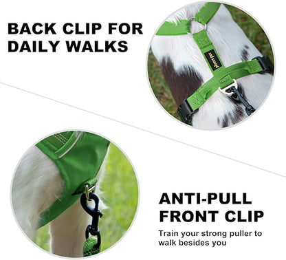 Plutus Pet No Pull Dog Harness, Reflective Adjustable Dog Vest Harness with Handle, Escape Proof, Soft Padded for Small Medium Large Dogs (Green, XS)