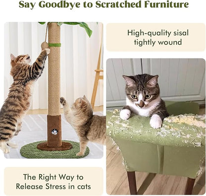 Woochpet Cat Scratching Post for Indoor Cats and Kitten - 35.43" Tall Cat Scratching Post with Sisal Rope,Palm Tree Cat Scratch Post with Hanging Ball (35.4-Green, 35.4in)