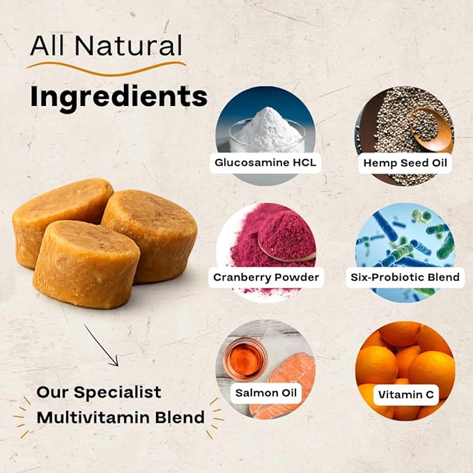 Dog Multivitamin Chews – Daily Dog Vitamins with 19+ Nutrients, Probiotics, Glucosamine & Omega Fish Oils – Supports Energy, Immune Health & Pet Wellness – Chicken Flavor, 120 Soft Chews