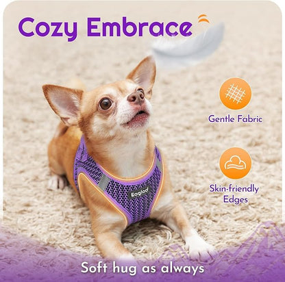 Eagloo Small Dog Harness and Leash Set, Step in Puppy Vest with Breathable Soft Mesh, Walking Reflective Pet Harness for Small Dogs, Purple, XXS