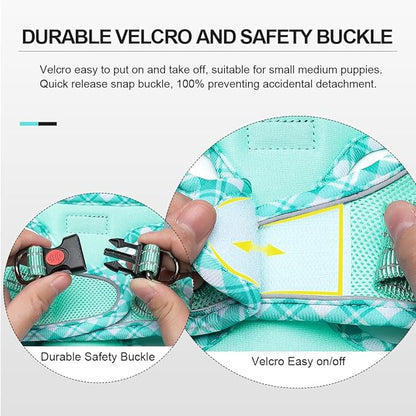 Mercano Soft Mesh Dog Harness and Leash Set, No-Chock Step-in Reflective Breathable Lightweight Easy Walk Vest Harnesses with Safety Buckle for Small Dogs, Cats (Light Green, XL)