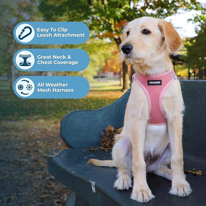 Best Pet Supplies Voyager Step-in Air All Weather Mesh Harness and Reflective Dog 5ft Leash Combo with Neoprene Handle, for Small, Medium and Large Breed Puppies - Set (Pink), X-Large